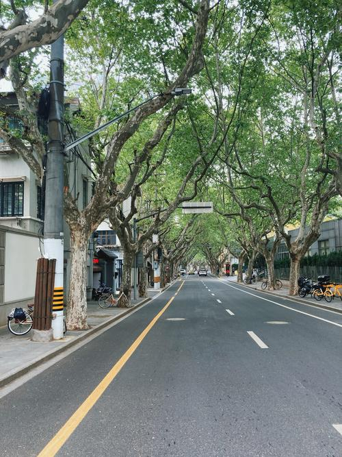Dajing-Road